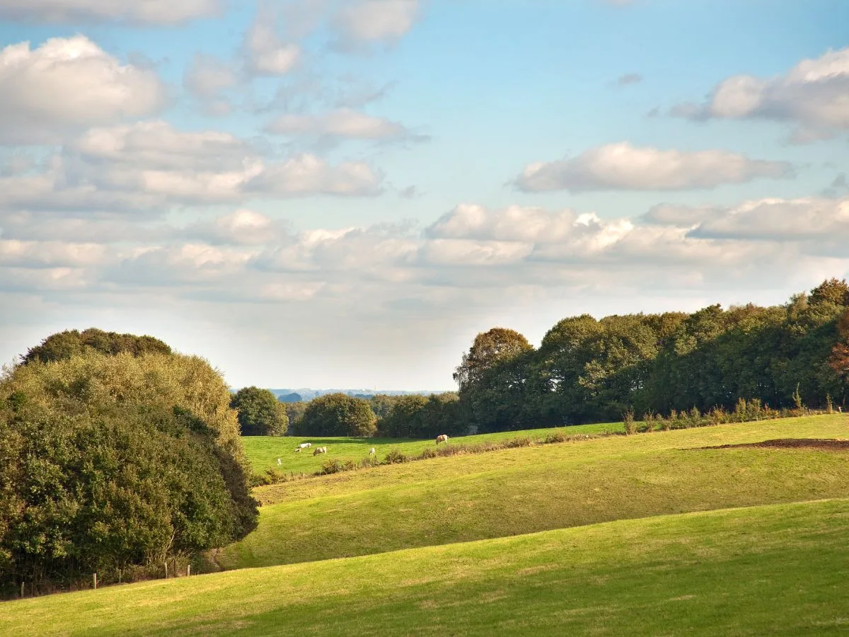 omgeving-rijk-van-nijmegen-8 Heuvelgebied in het Rijk van Nijmegen