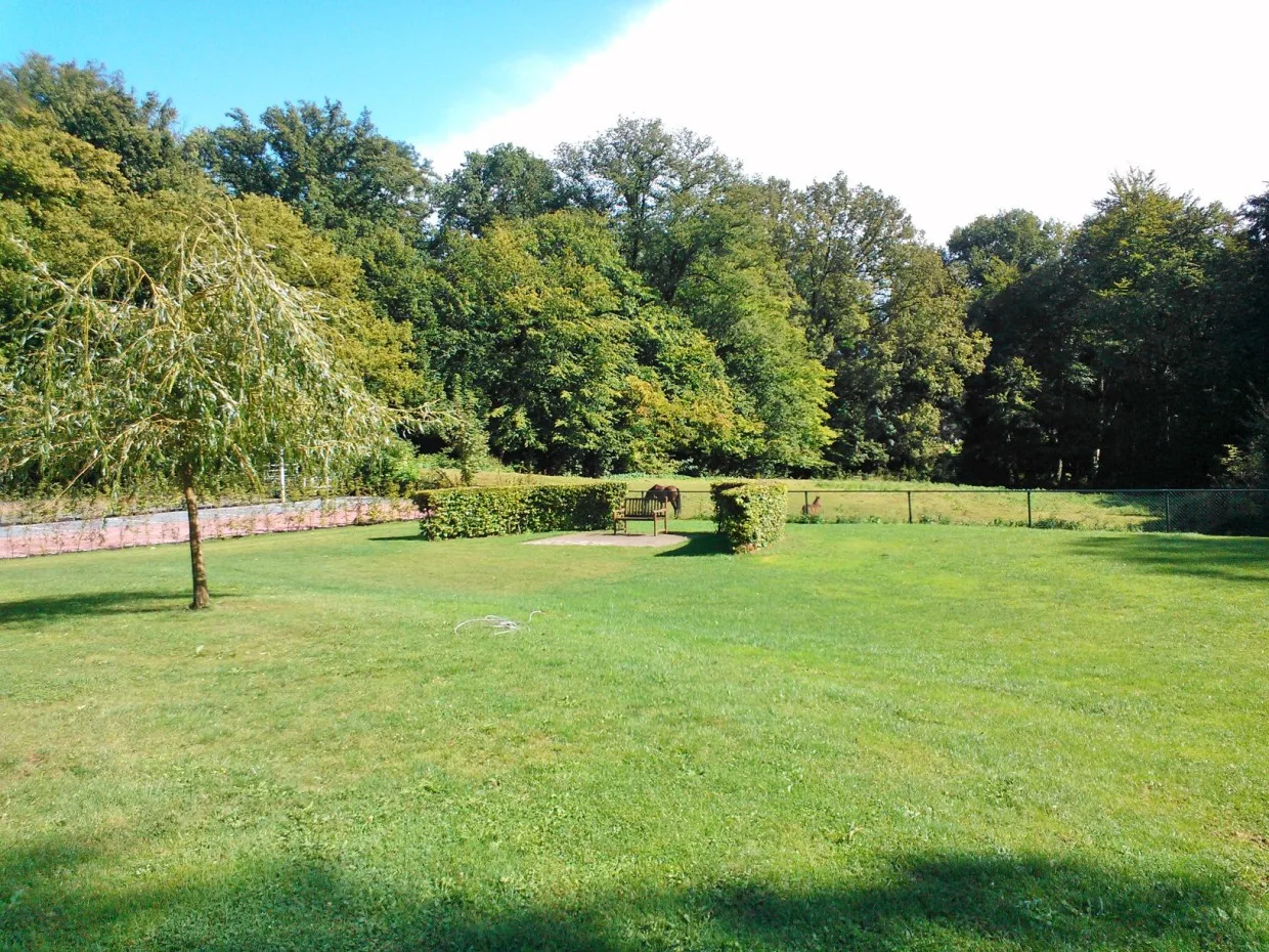 Prachtige natuur dichtbij